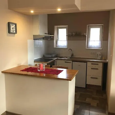 Apartment Abby Borova (Hradec Kralove)