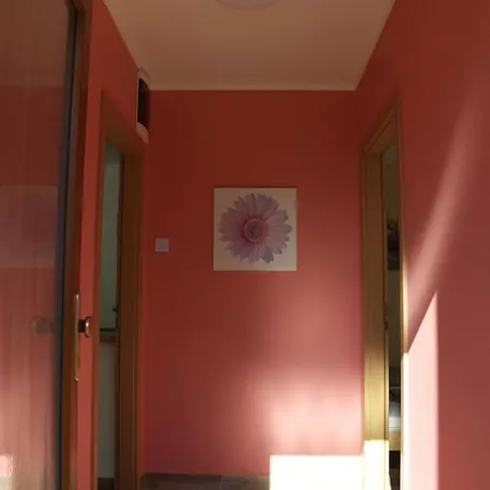 Abby * Borova (Hradec Kralove)